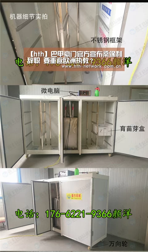 体育赛事