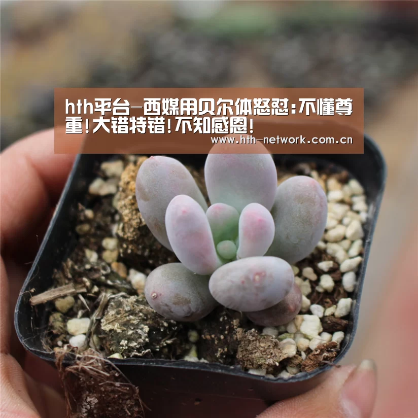 hth平台-西媒用贝尔体怒怼:不懂尊重!大错特错!不知感恩!