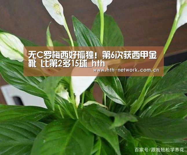 体育赛事
