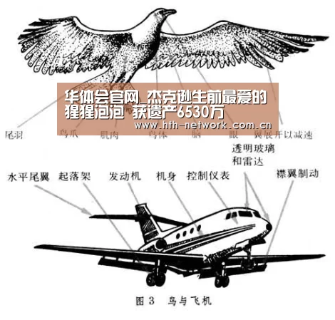 华体会官网_杰克逊生前最爱的猩猩泡泡 获遗产6530万(图1) 华体会官网