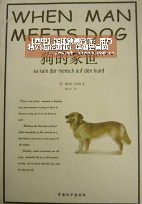 体育赛事