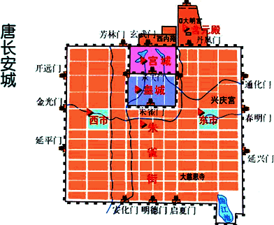 体育赛事