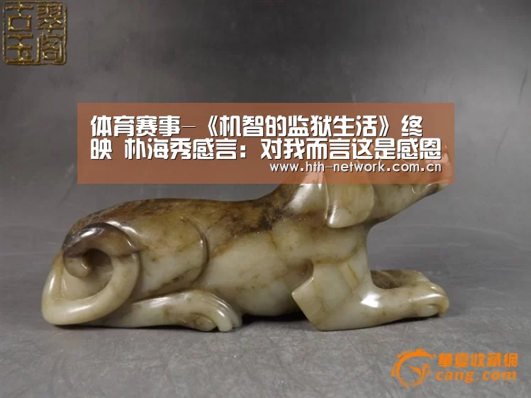 体育赛事