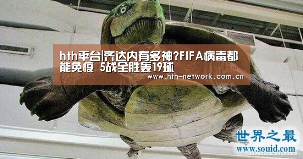 体育赛事