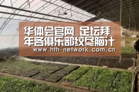 体育赛事